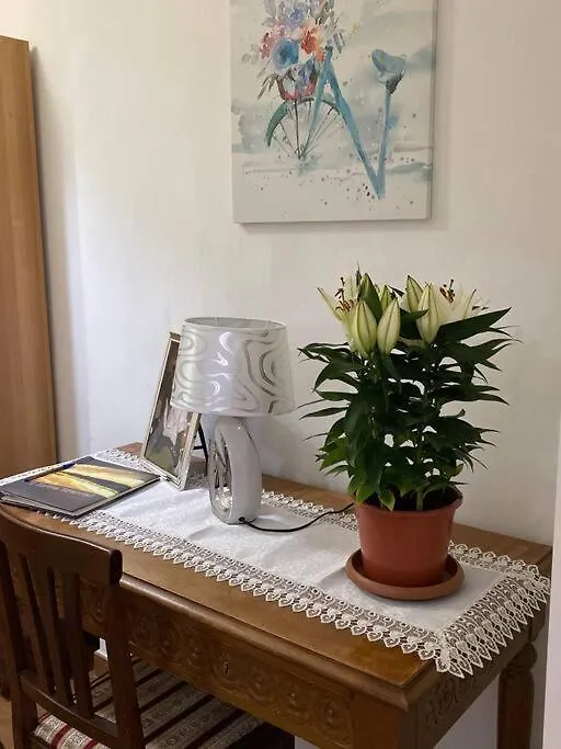 Casa Boss Firenze Stazione Smn Apartment Florence